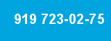 919 723-02-75